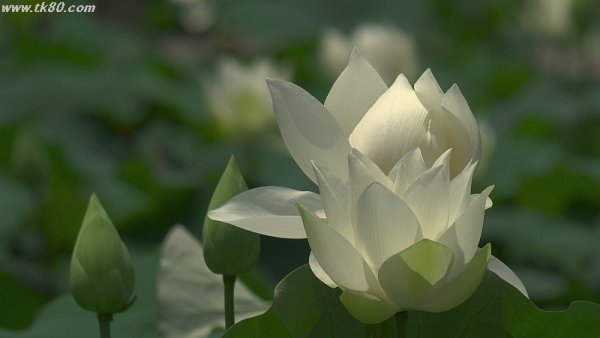 チョッと辛かった～f(^_^；)