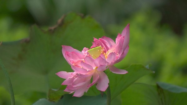 マカオ、ベネチアンホテルの近く、、、