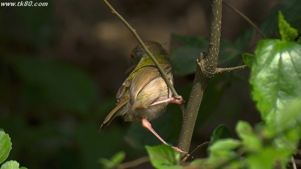 深セン湾公園～～＼(^o^)／