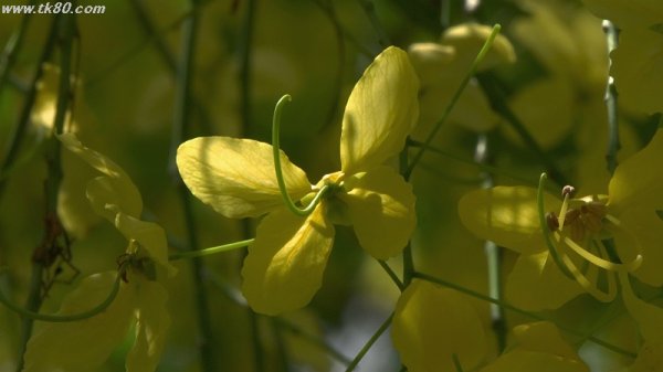 これは見ないだろ～(^○^)