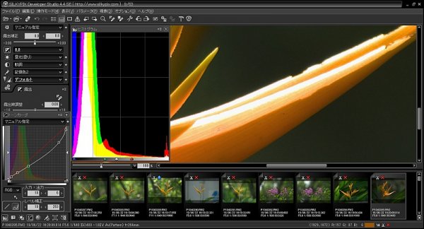 これ邪道！？f(^_^；)