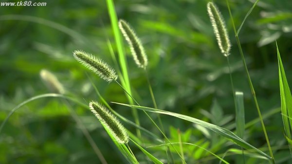 モジャモジャ～(^○^)