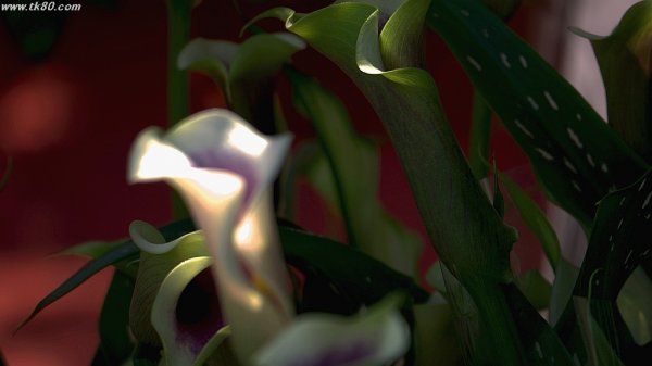 ここまで下手に撮ると～f(^_^；)