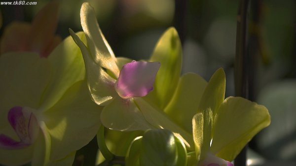 先ほどの停電～f(^_^；)