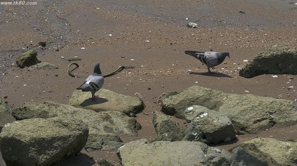 宴会ではコレを食べた(^○^)
