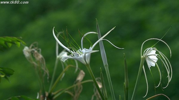 明日はマカオ散歩(^-^)