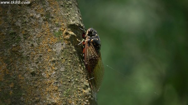 ニィニィニィ～～(^○^)