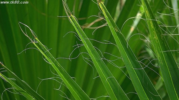 出来っこない！(^○^)