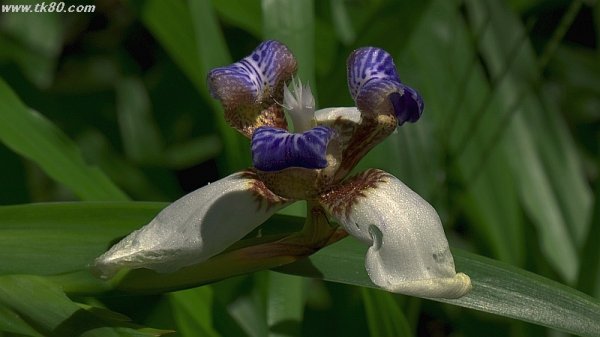 (友達の)部屋が完成した～(^○^)
