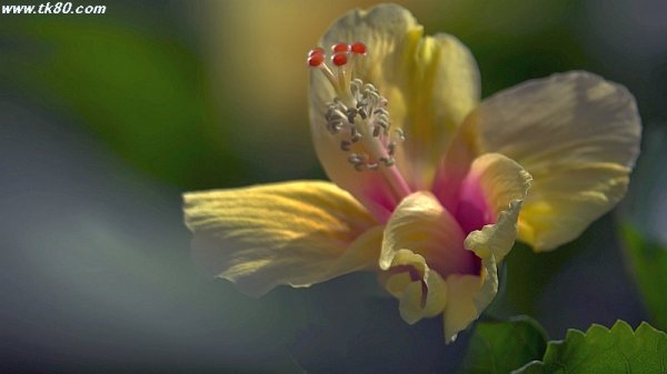 やはり朝方～(^○^)