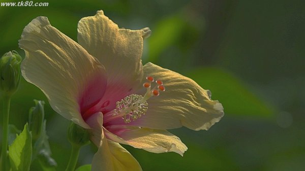 底をつく～(´；ω；｀)