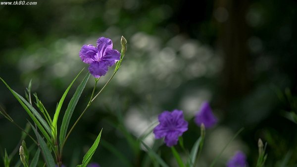 ドン♪～ドン♪～(^○^)