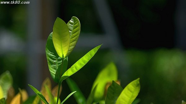 だから撮った！！＼(^o^)／