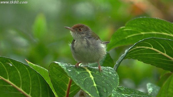 スコール上がり(^○^)
