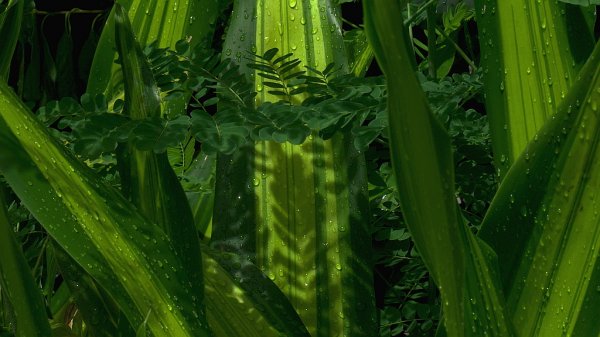 ベトナムに行った-_-b