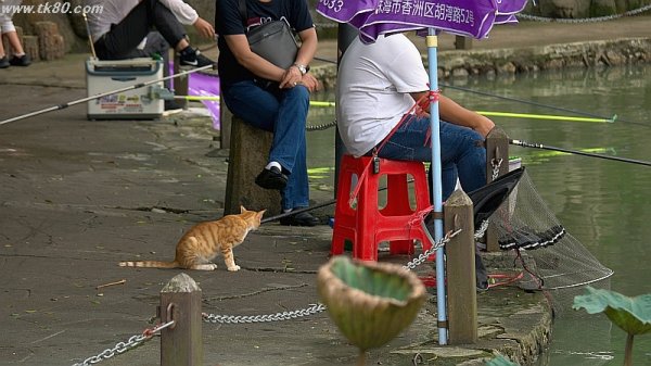 ミャーン～(^○^)