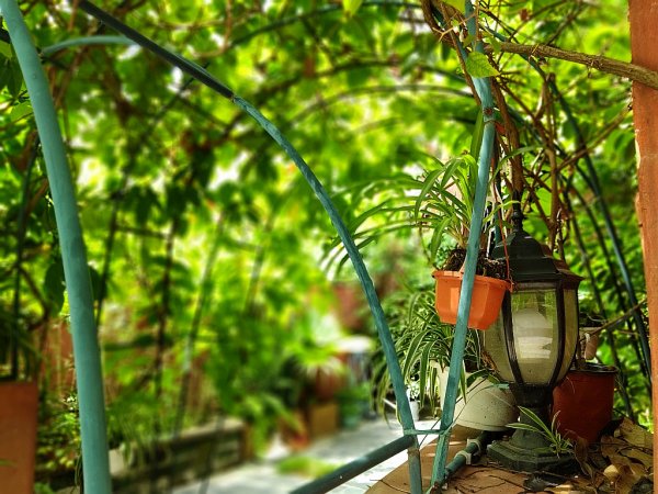 古鎮を歩く～(^○^)