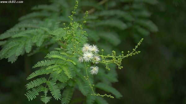 この週末～～(^○^)