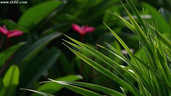 野狸島を1周～(^○^)