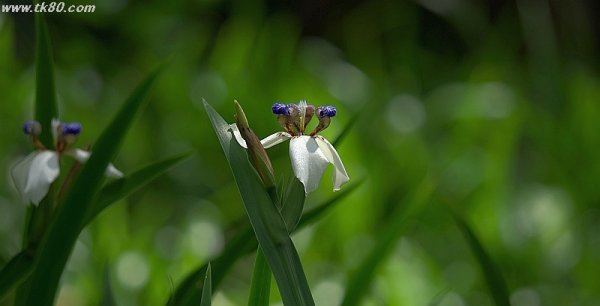 本意では無い～(ノд｀)