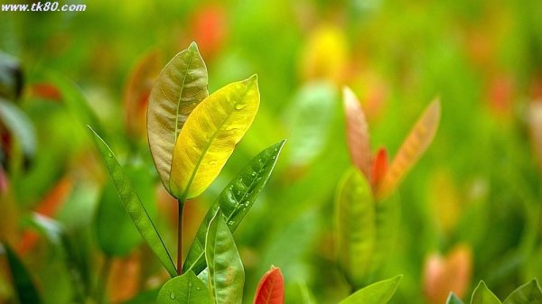 いつもの場所(^○^)