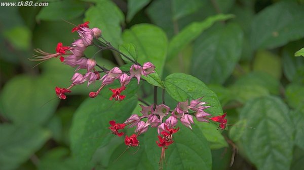 そろそろ考えるかぁ～～(^○^)