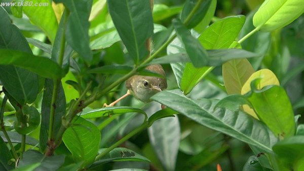 見られてる～f(^_^；)