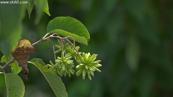 インターネットバンキング(^○^)