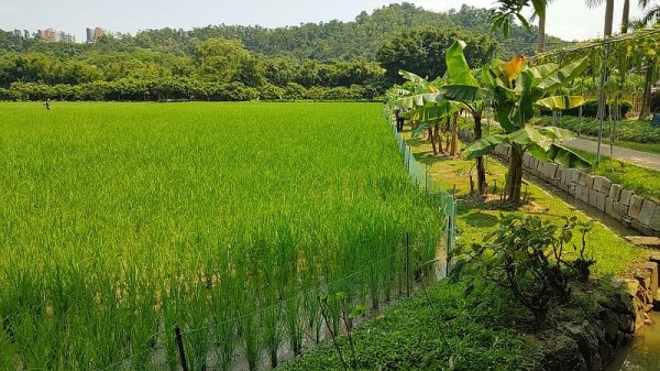 田園風景～(^○^)