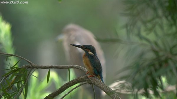 クッソ～～！！( #｀Д´)