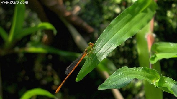 諦めムード～(´；ω；｀)