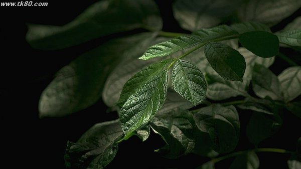 光に換えなかった訳～f(^_^；)