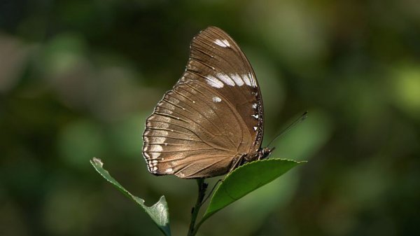 私をエスコート？？(^○^)