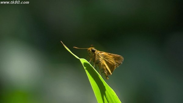 重い腰をあげた～(^○^)