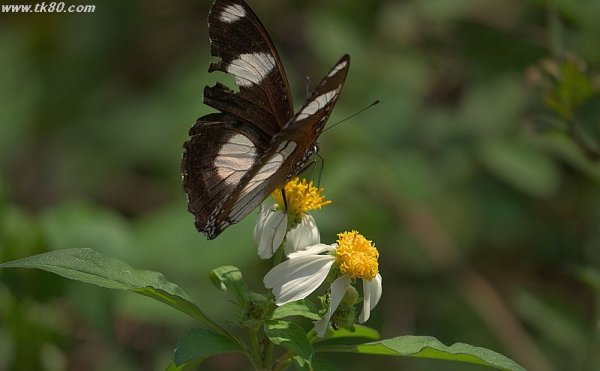 ホログラフ～(^○^)