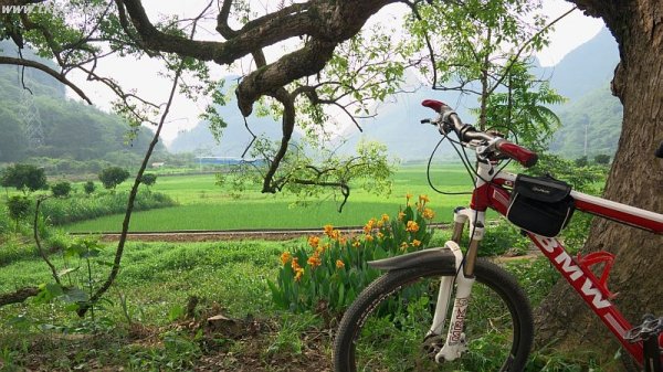 ママチャリ・サイクリング(^○^)