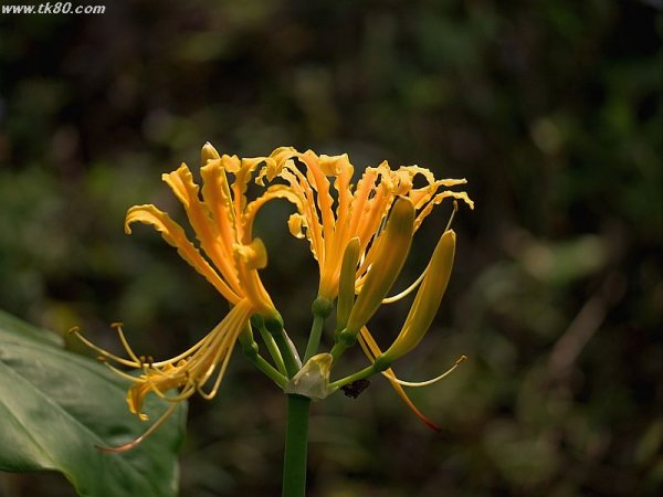 そうゆう事じゃ無くて～f(^_^；)