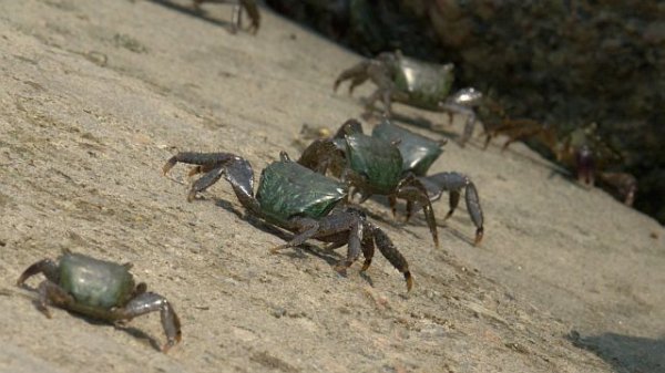 カニ歩き～(^○^)