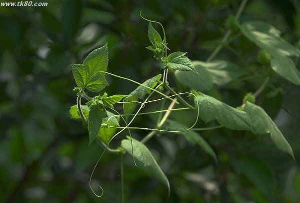 今日は絶対外出しない！f(^_^；)