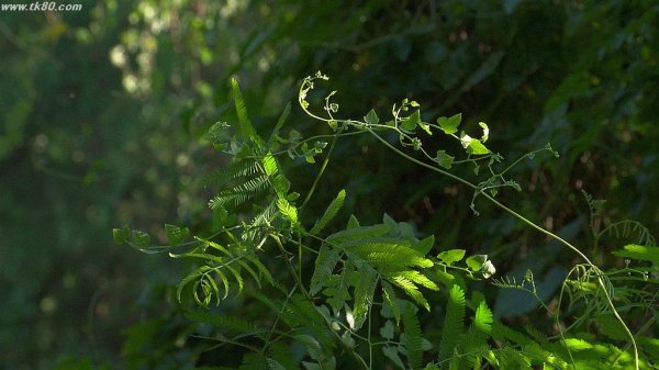 チョッと外出～(^○^)