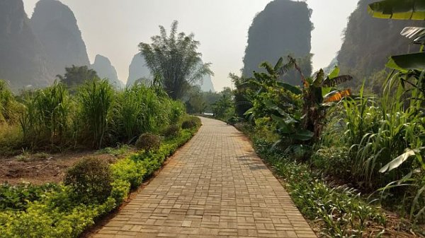 やっと快方に向かい～f(^_^；)