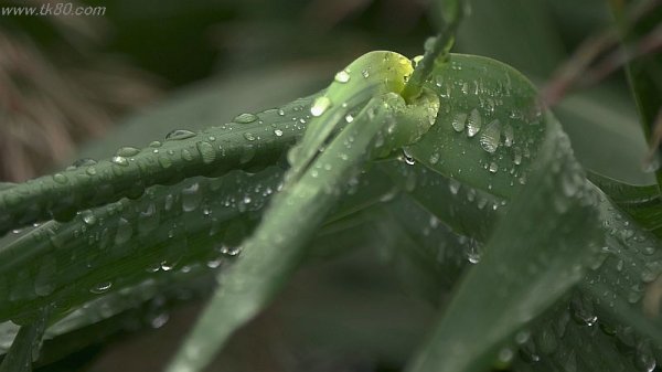 癖になりそう～(^○^)