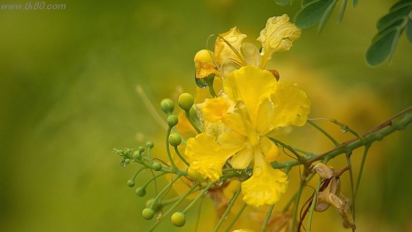 え？手数料取るの？