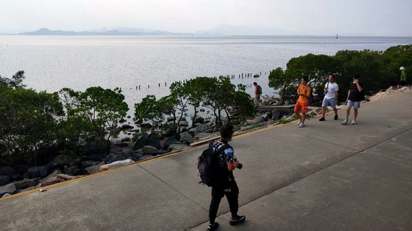 判っていないf(^_^；)