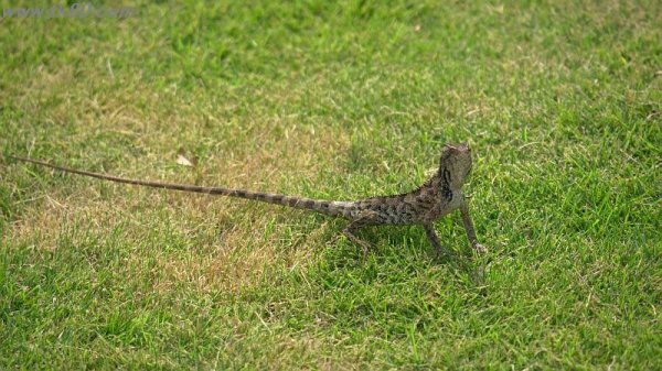 威風堂々！(^○^)