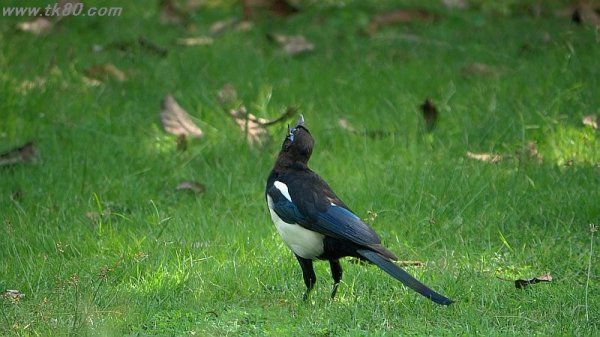 スコア制～f(^_^；)