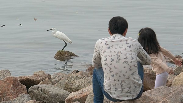 オ！お嬢ちゃん！！(´；ω；｀)