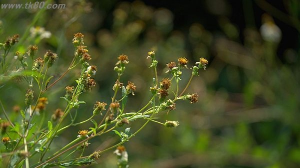 秋を感じる～(^○^)