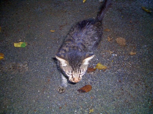 沖縄：ジャーネー洞(^○^)