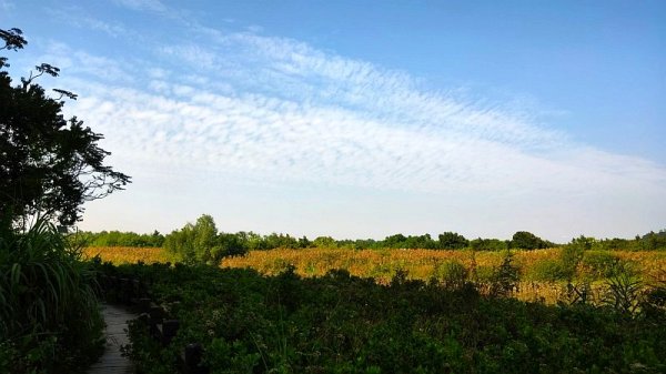 なってこった！！② f(^_^；)